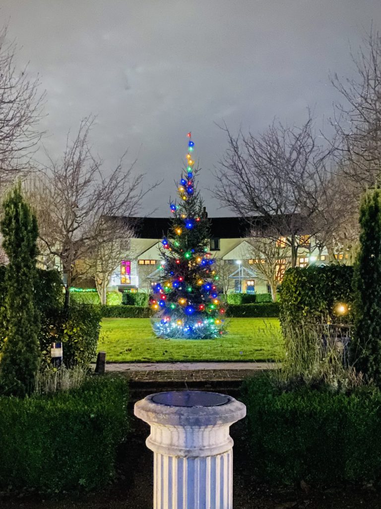 Christmas tree with lights in the central gardens in December